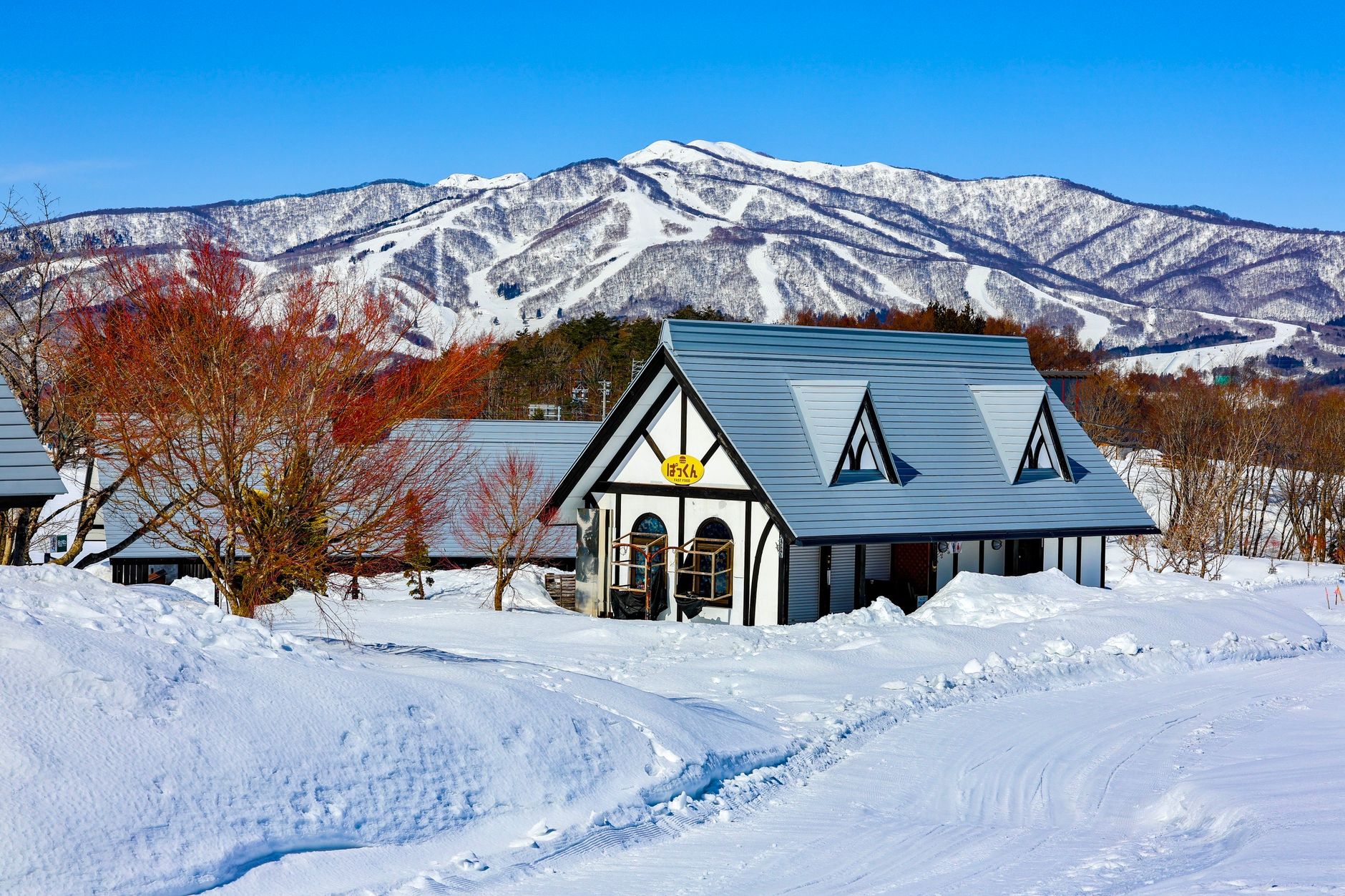 テーラーメイドの旅体験